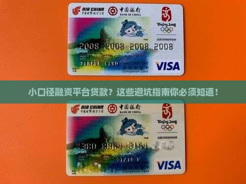 小口径融资平台贷款