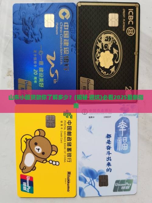 山东对小额贷款
