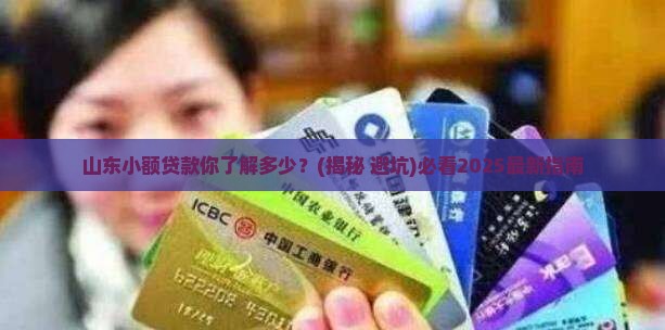 山东对小额贷款