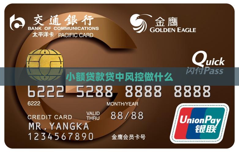 小额贷款贷中风控做什么