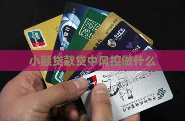 小额贷款贷中风控做什么