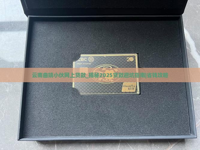 云南曲靖小伙网上贷款