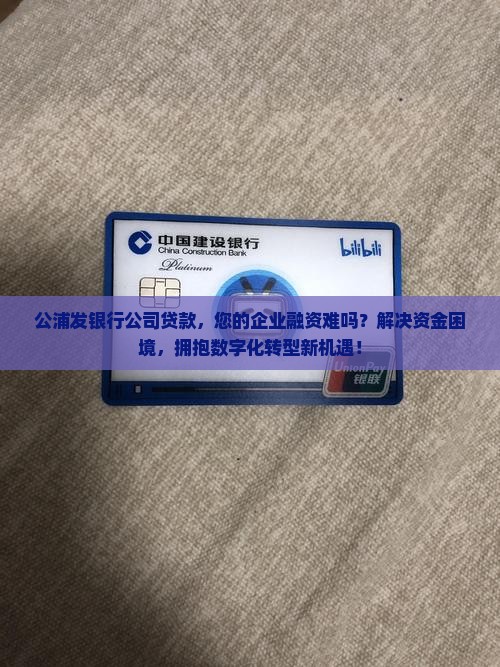 公浦发银行公司贷款