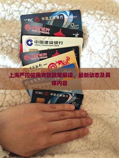 上海严控信用贷款政策