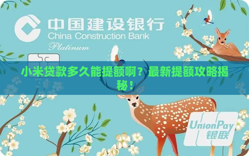 小米贷款多久能提额啊