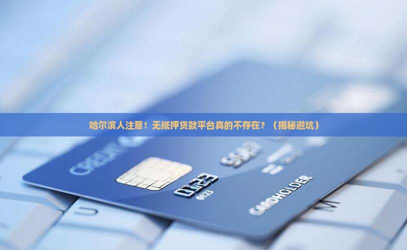 哈尔滨无任何抵押贷款平台
