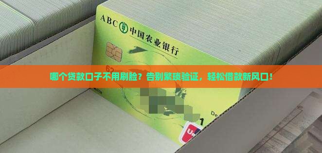 哪个贷款口子不用刷脸的