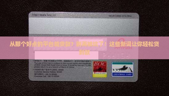 从那个好点的平台能贷款
