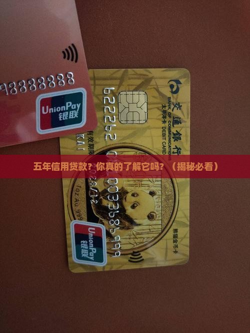 五年的信用贷款