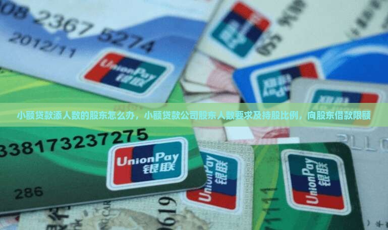 小额贷款添人数的股东