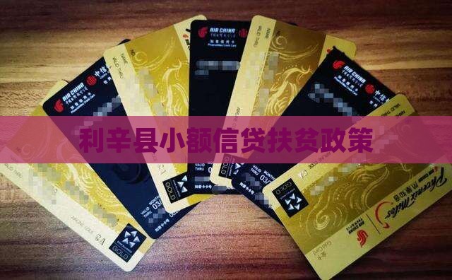 利辛县扶贫小额贷款政策
