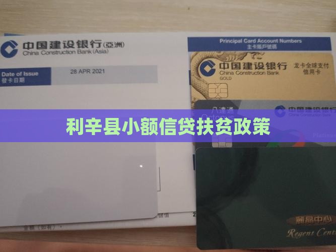 利辛县扶贫小额贷款政策