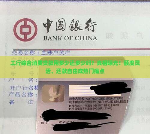 工行综合消费贷款用多少还多少吗