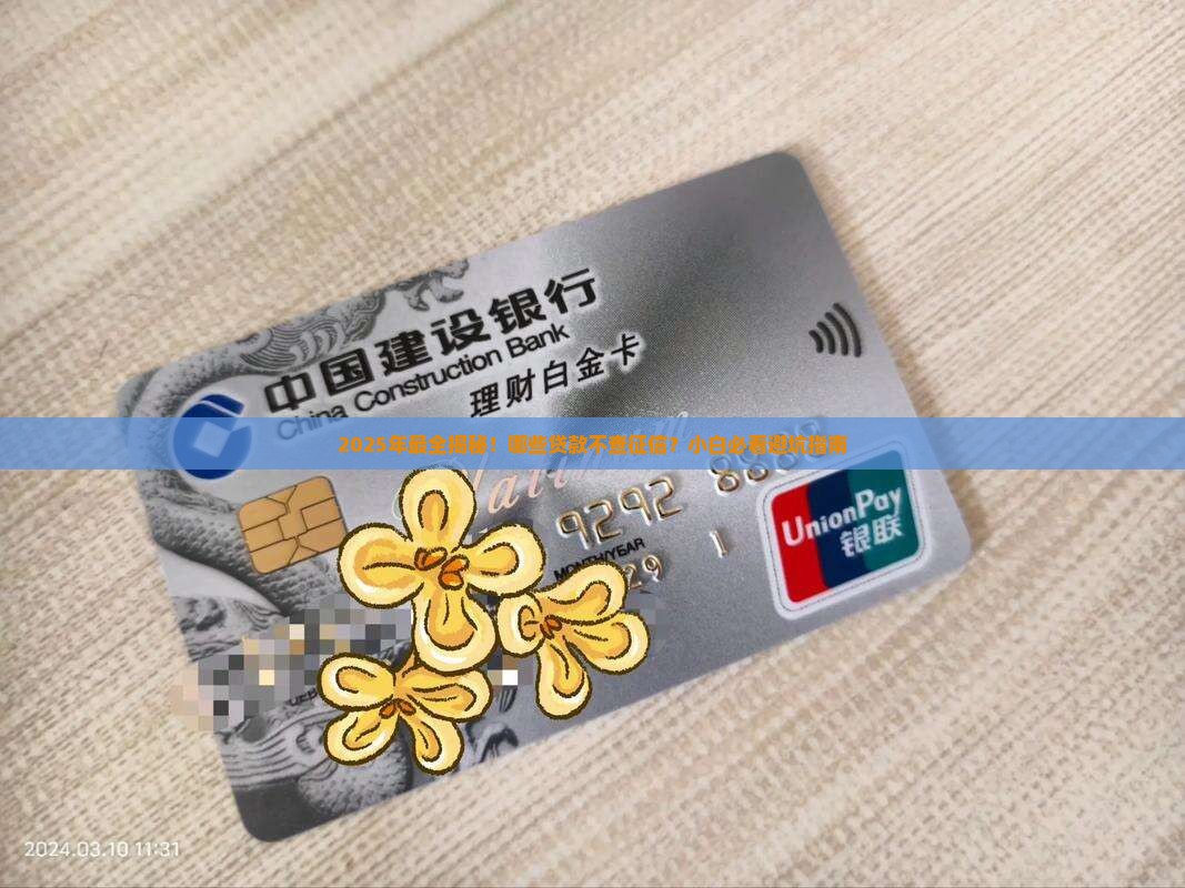 哪里贷款可以不查征信