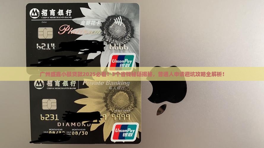 广州盛鑫小额贷款