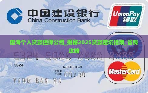 唐海个人贷款担保公司