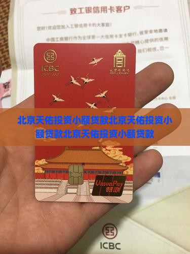 北京天佑投资小额贷款