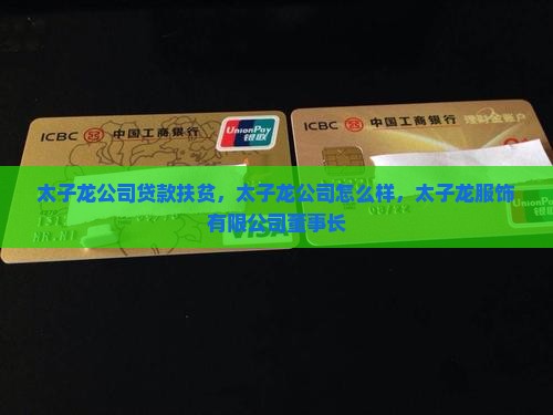太子龙公司贷款扶贫