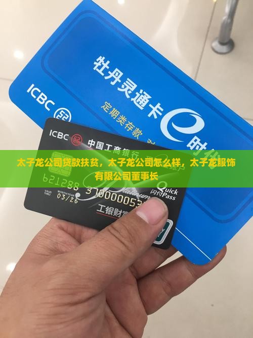 太子龙公司贷款扶贫