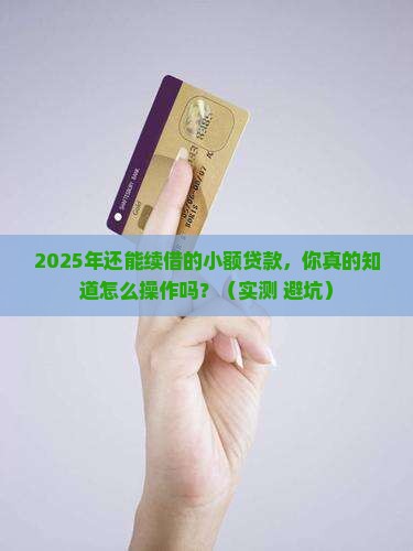 可以续借的小额贷款