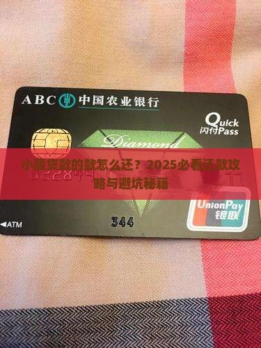 小额贷款的款怎么还