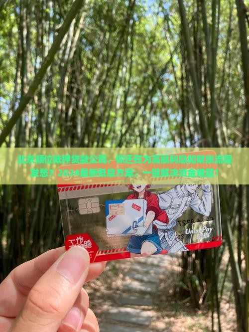 北京顺位抵押贷款公司