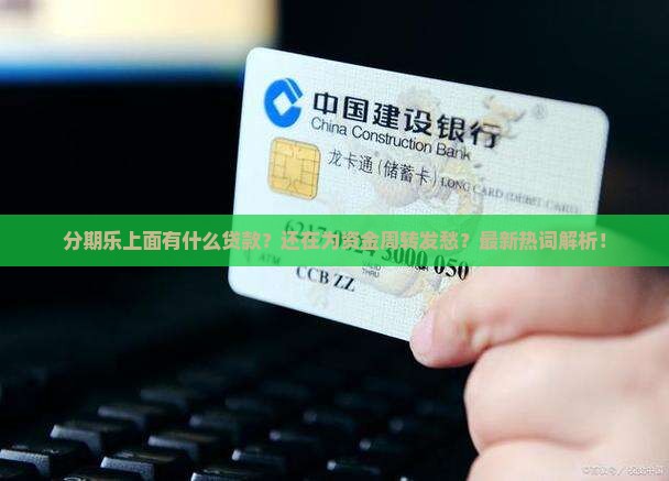 分期乐上面有什么贷款