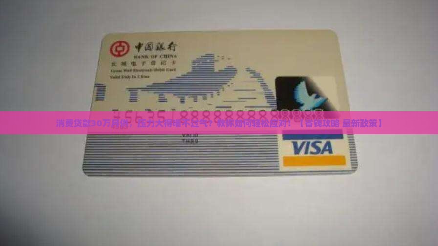消费贷款30万月供