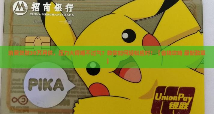 消费贷款30万月供