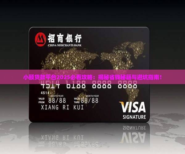 小额贷款目前平台