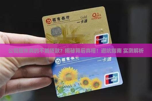 公司股东不能贷款