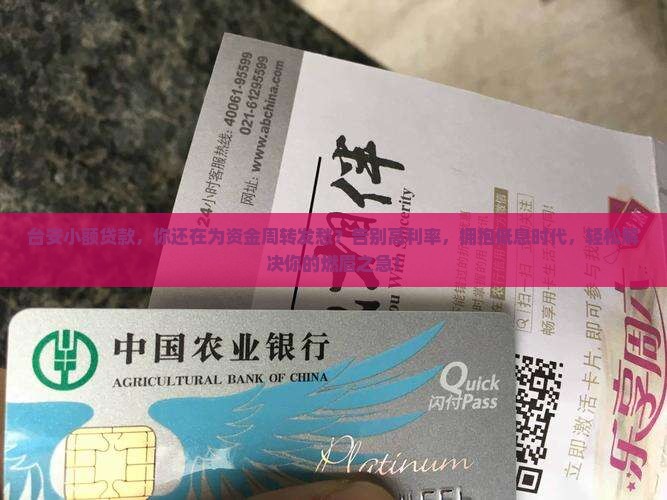台安小额贷款