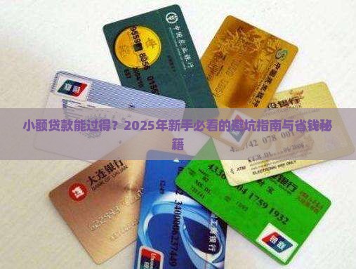 小额贷款能过得