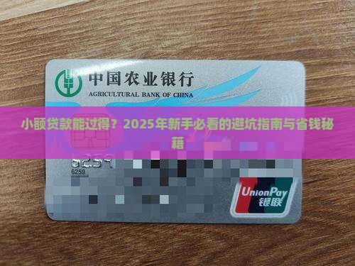 小额贷款能过得