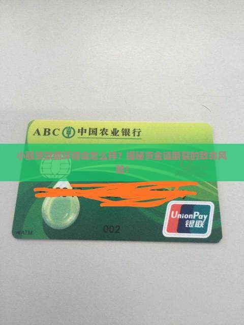 小额贷款循环借会怎么样