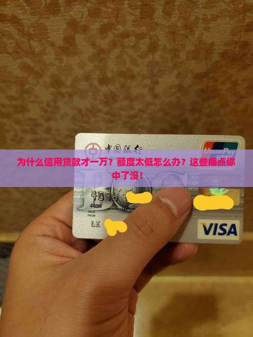 信用贷款为什么才一万
