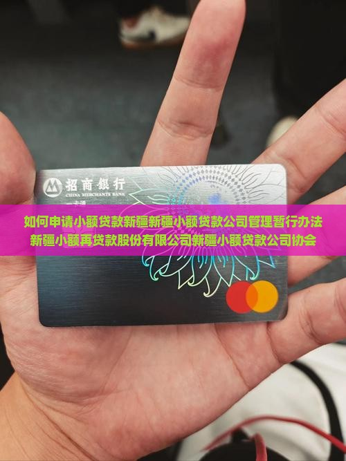 如何申请小额贷款新疆