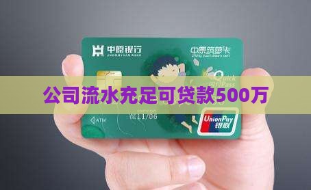 公司有流水需要贷款500万