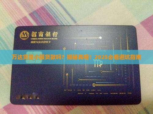 万达贷是小额贷款吗