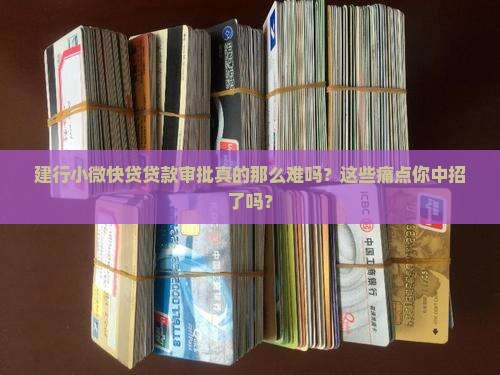建行小微快贷贷款审批