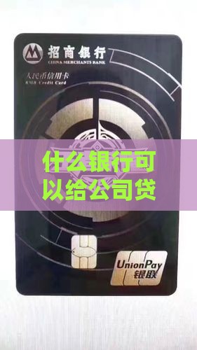 什么银行可以给公司贷款