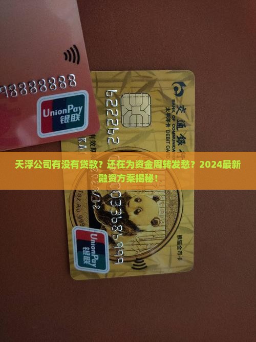 天浮公司有没有贷款