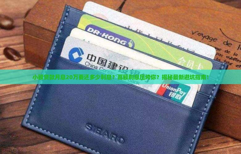 小额贷款月息20万要还多少利息