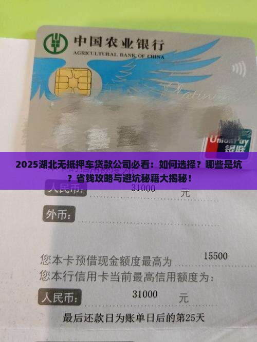 湖北无抵押车贷款公司