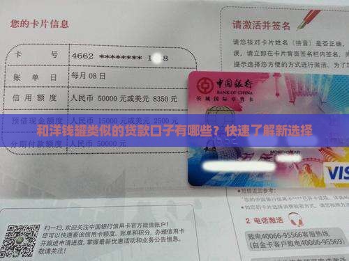 和洋钱罐类似的贷款口子