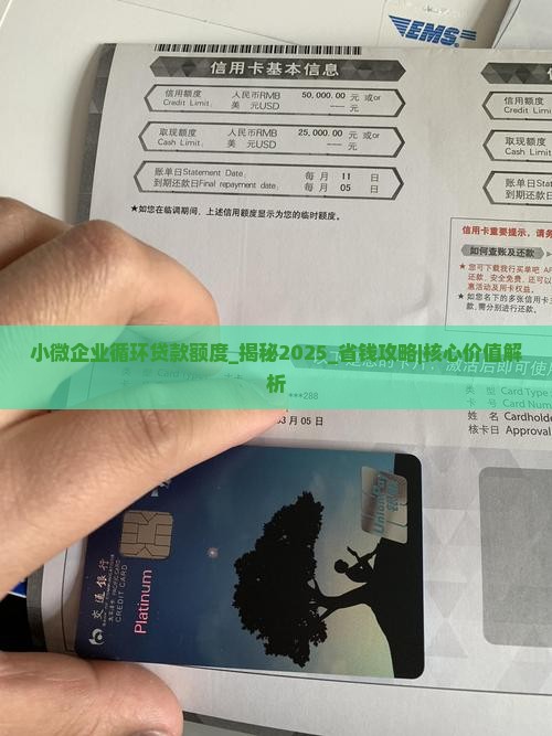 小微企业循环贷款额度