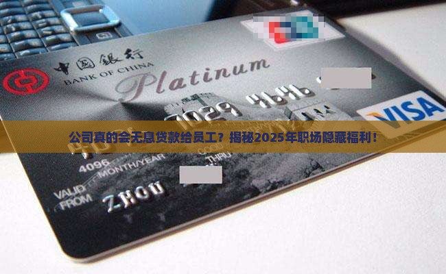 公司提供员工无息贷款