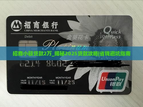 招商小额贷款2万