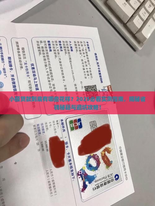 小额贷款的形式