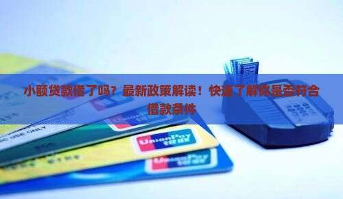 小额贷款借了吗